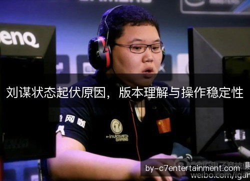 刘谋状态起伏原因，版本理解与操作稳定性